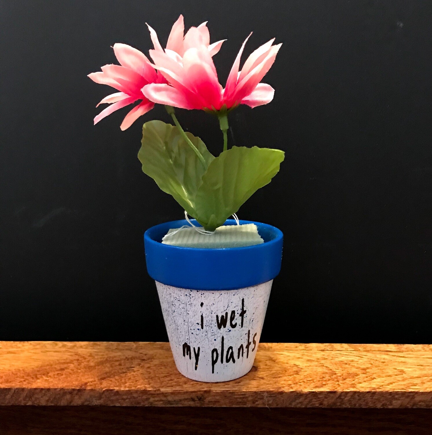 Clay Flower Pot 2 1/2" (I wet my plants)