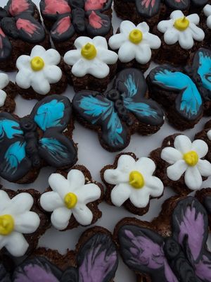 butterflies and daisies
