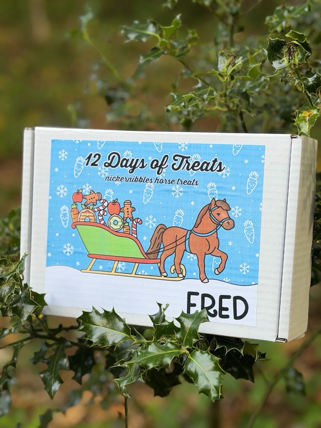 12 Day advent calendar
