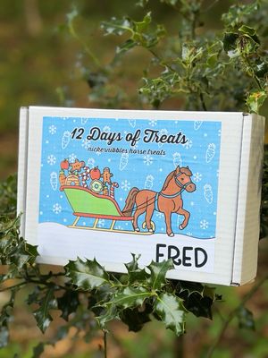 12 Day advent calendar