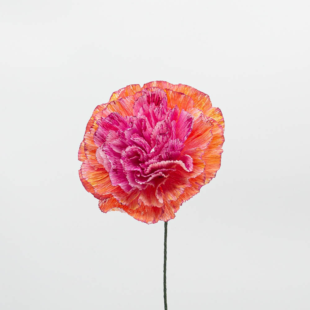 Œillet