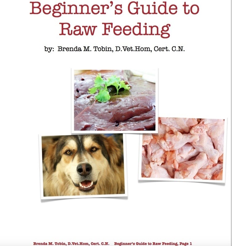 Beginner's Raw Feeding Pre-Recorded Webinar