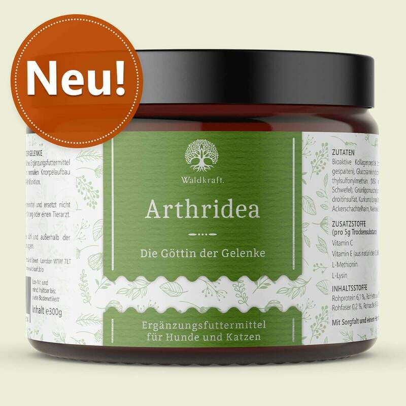 Waldkraft Arthridea – Die Göttin der Gelenke – 300g Waldkraft Arthridea – Die Göttin der Gelenke – 300g