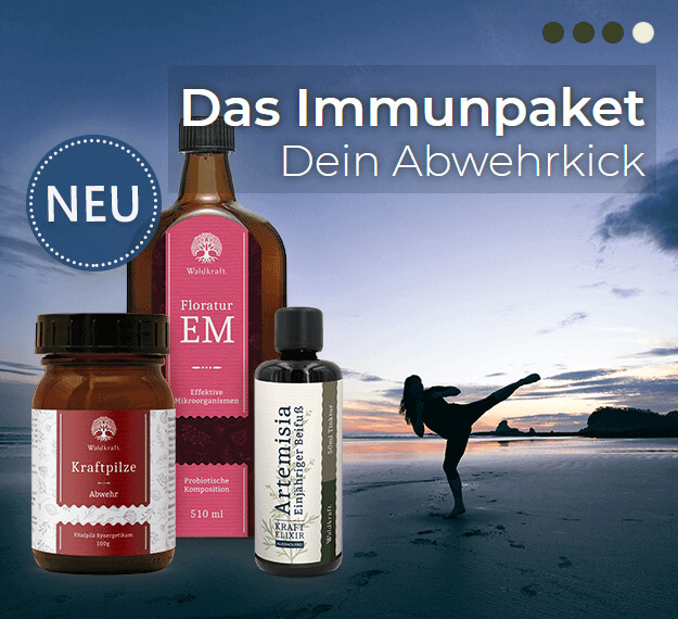 Waldkraft Immun-Kur für Tiere und Menschen: Floratur EM, Artemisia und Kraftpilze Freya