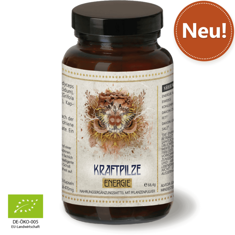 Waldkraft Erdling Kraftpilze Energie– Vitalpilz Synergetikum - 120 Kapseln Waldkraft Erdling Kraftpilze Energie– Vitalpilz Synergetikum - 120 Kapseln