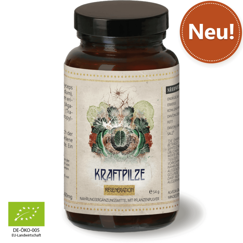Waldkraft Erdling Kraftpilze Regeneration – Vitalpilz Synergetikum - 120 Kapseln