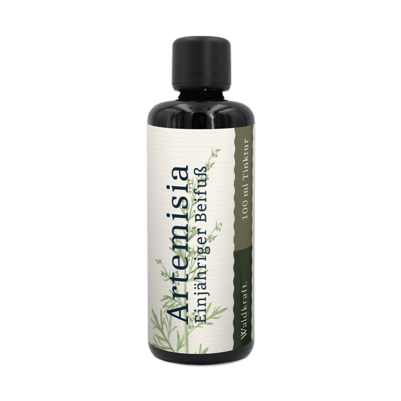 Waldkraft Artemisia annua – Einjähriger Beifuß – Alkohollösung 100ml