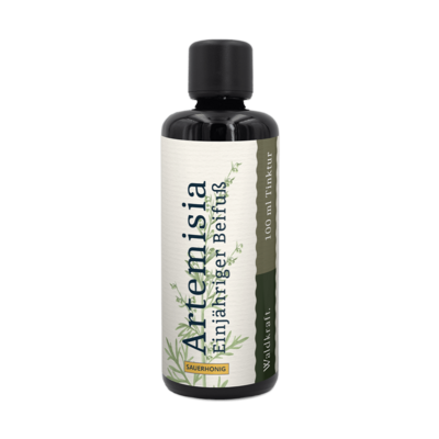 Waldkraft Artemisia annua - Einjähriger Beifuss - alkoholfrei Sauerhonig 50ml