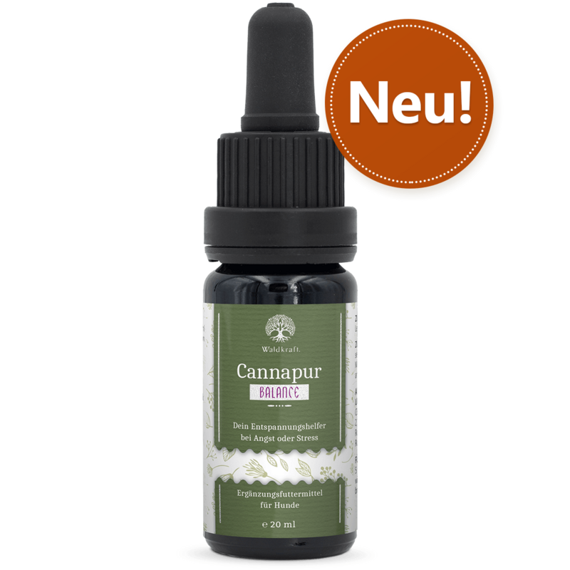 Waldkraft Cannapur Balance - CBD, Melisse, Sternanis gegen Angst, Panik und Stress beim Hund