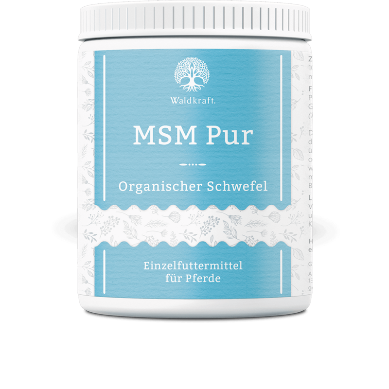 Waldkraft MSM PUR für Pferde – Organischer Schwefel – 950g Waldkraft MSM PUR für Pferde – Organischer Schwefel – 950g