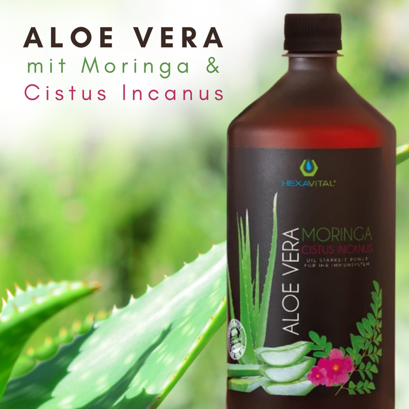 Hexavital Aloe Vera mit Moringa und Cistus Incanus - 1x 1000ml Hexavital Aloe Vera mit Moringa und Cistus Incanus - 1x 1000ml
