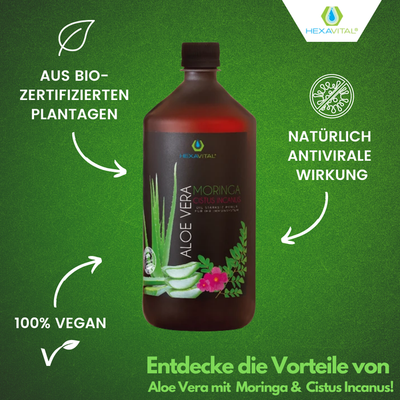 Hexavital Aloe Vera mit Moringa und Cistus Incanus - 1x 1000ml