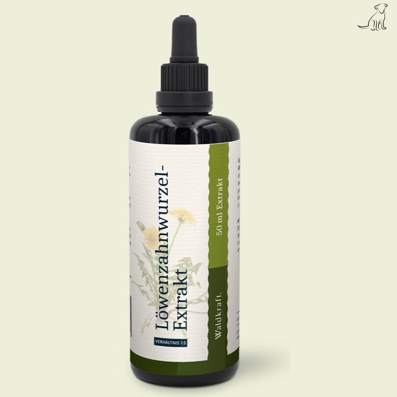 Waldkraft Löwenzahn Wurzel Extrakt 50 ml Waldkraft Löwenzahn Wurzel Extrakt 50 ml