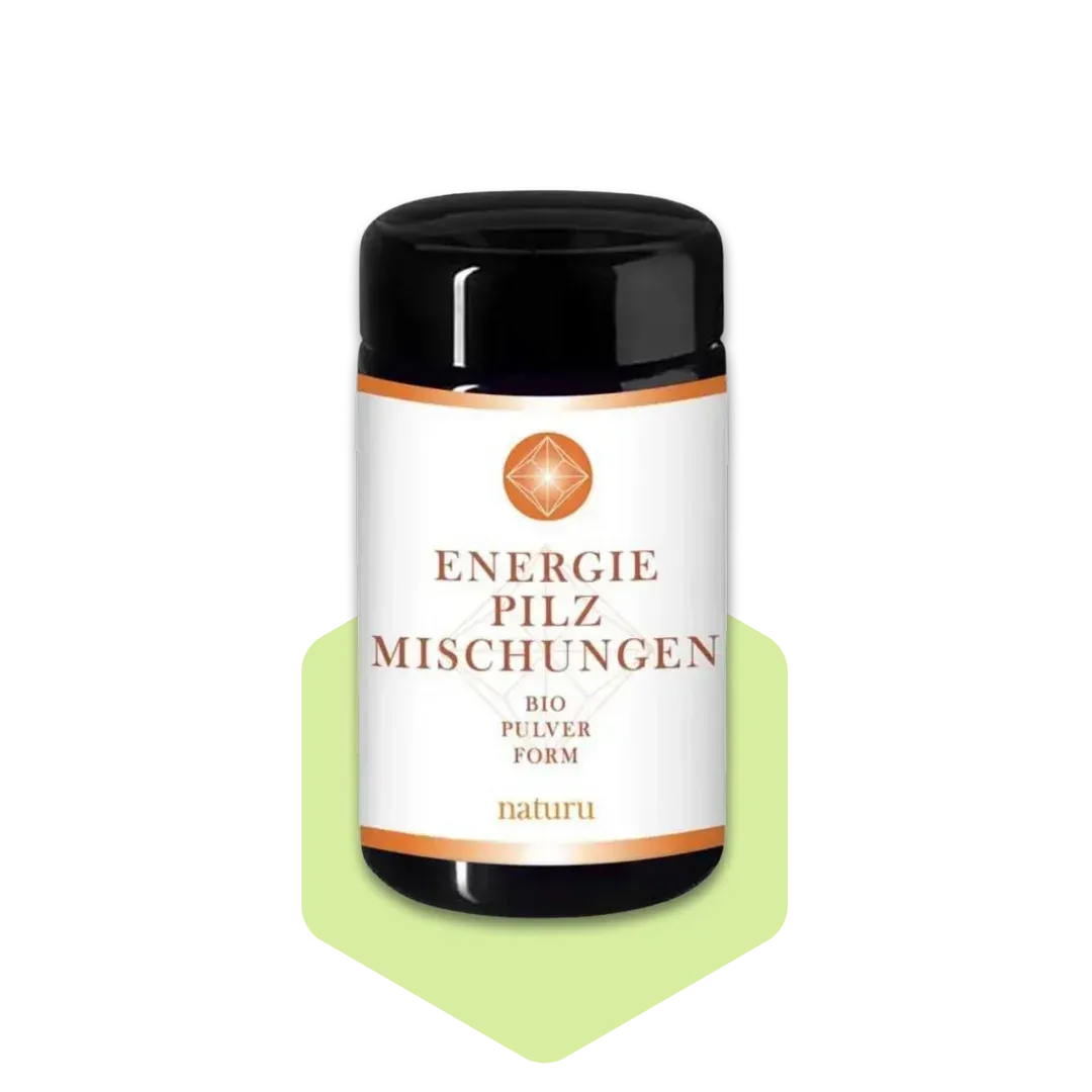 Naturu Energiepilze Vitalmischung 100g