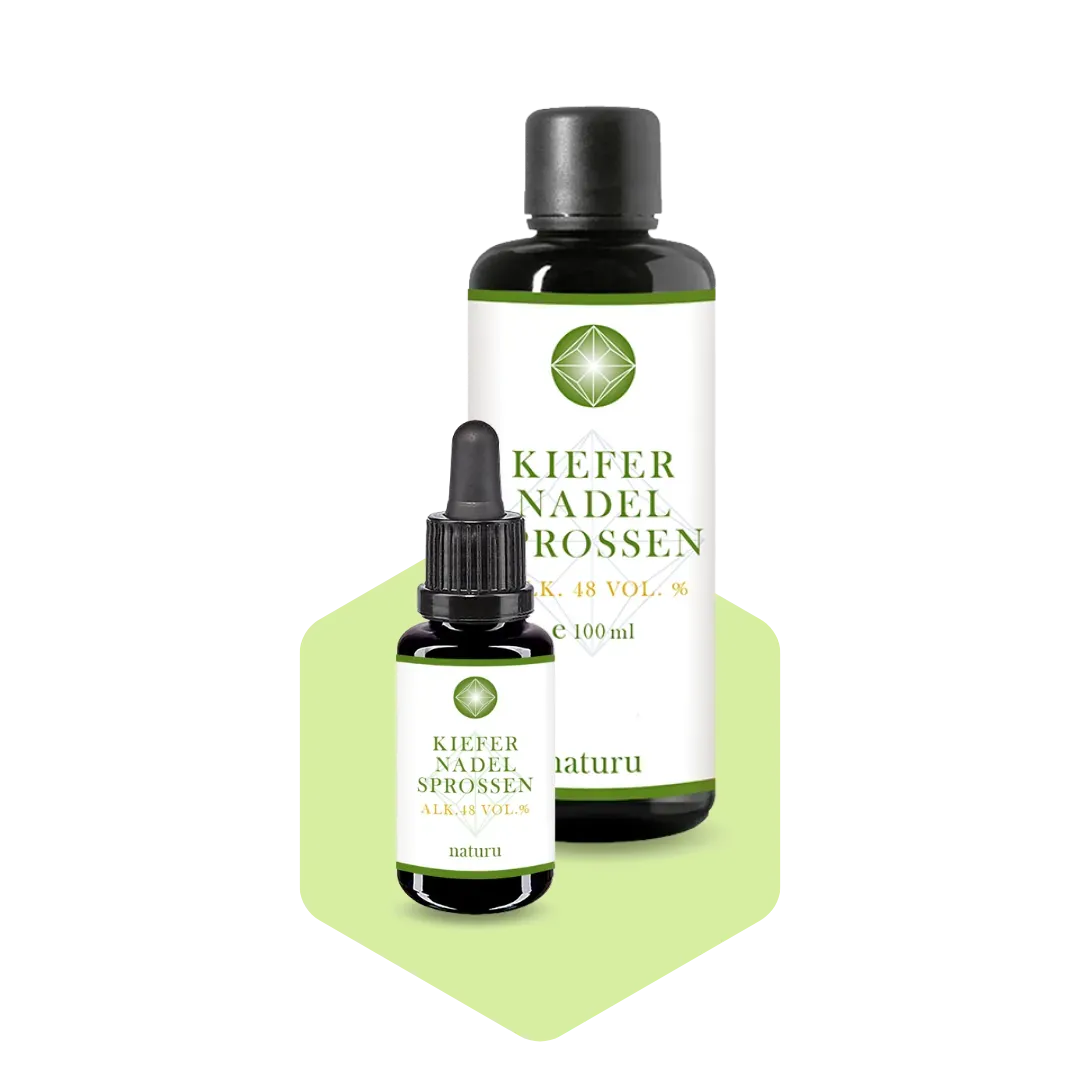 Naturu Kiefernadelsprossen Extrakt 20ml