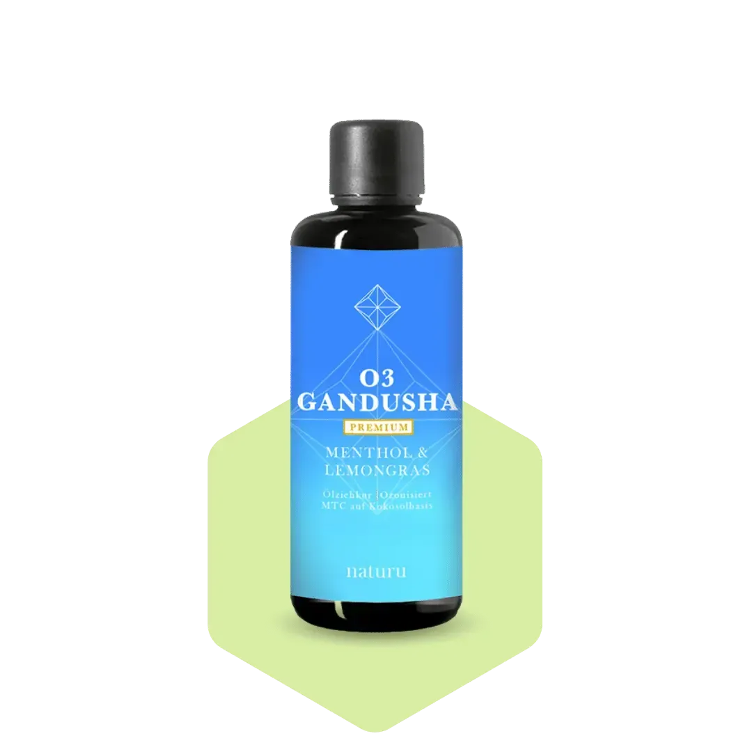 Naturu O3 Gandusha Menthol Lemongrass 100ml
