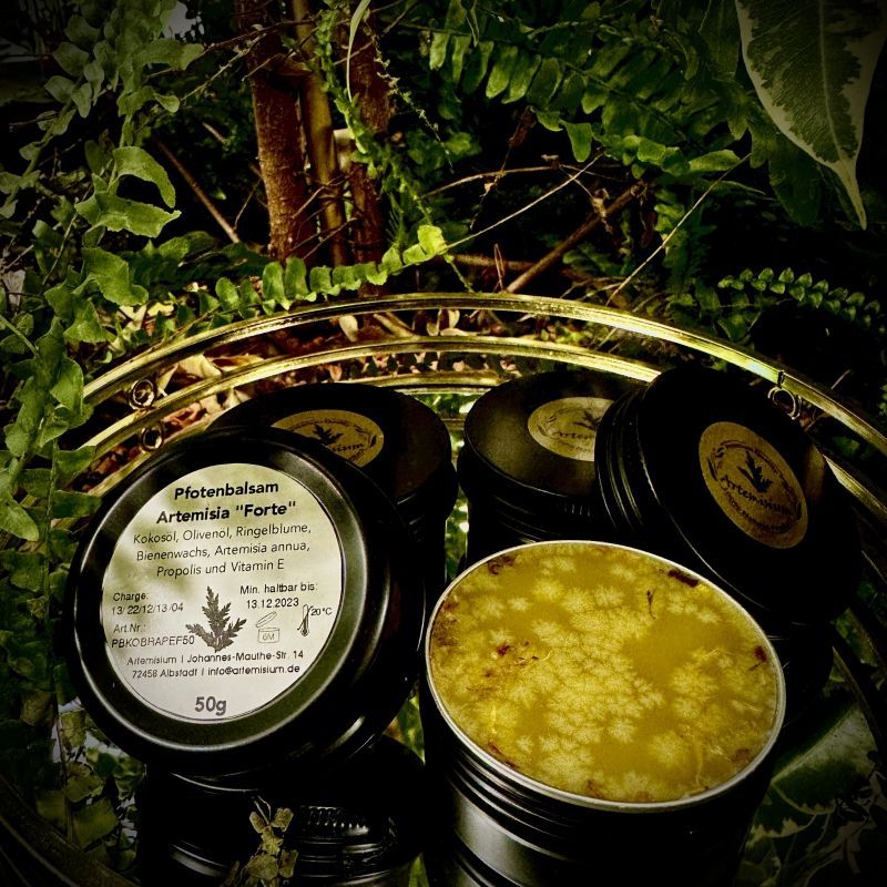 Artemisium Pfotensalbe mit Olivenöl, Artemisia annua, Ringelblume, Propolis und Vitamin E, FORTE, 50 ml Artemisium Pfotensalbe mit Olivenöl, Artemisia annua, Ringelblume, Propolis und Vitamin E, FORTE, 50 ml