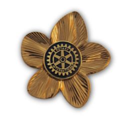 Mini Gold Flower Brooch