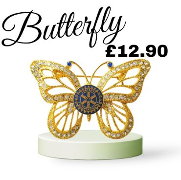 Butterfly Brooch