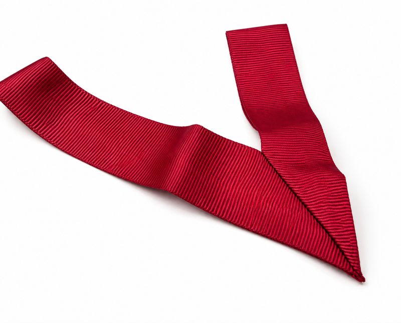 Treasurer Collar