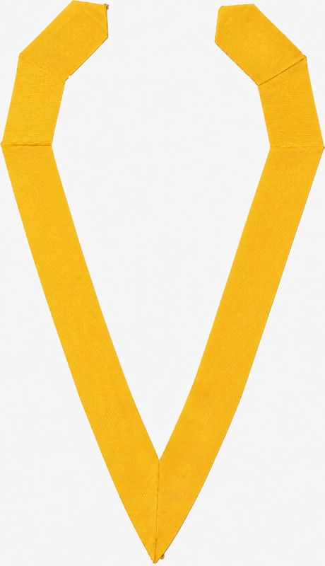 President ELECT Collar