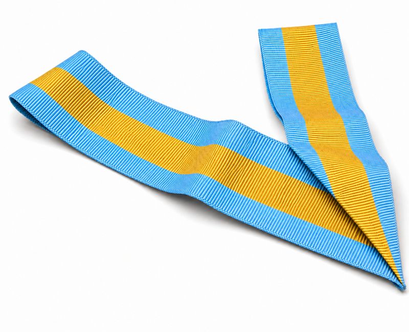 Assistant/Vice District Governor Collar