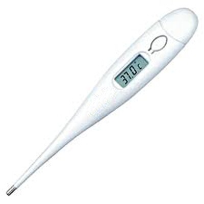 Ψηφιακό θερμόμετρο