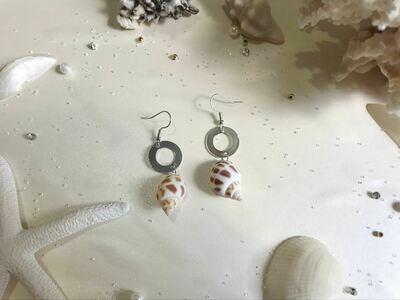 Σκουλαρίκια με κοχύλι