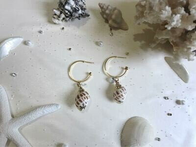 Σκουλαρίκια κοχύλι με στρας