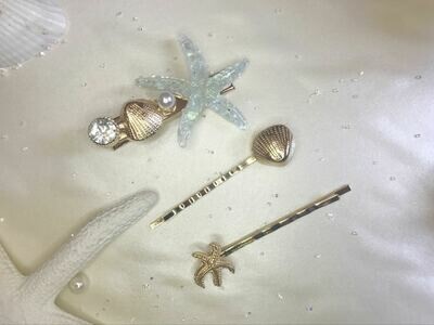 Σετ κλιπ μαλλιών αστερίας