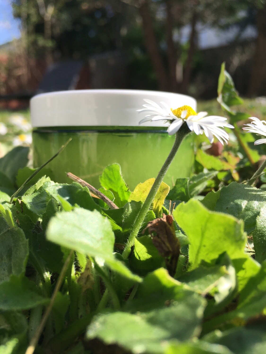 Masque hydratant à l&#39;aloe vera et au comcombre BIO
