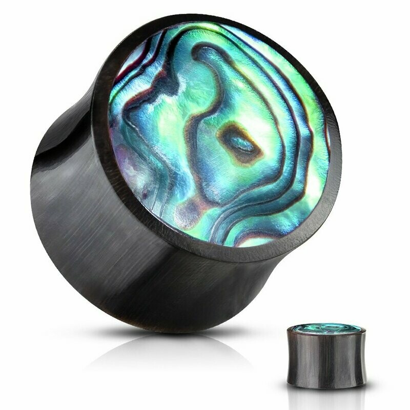 Horn Plug mit Paua Muschel (Avalon), Stückpreis Horn Plug mit Paua Muschel (Avalon), Stückpreis