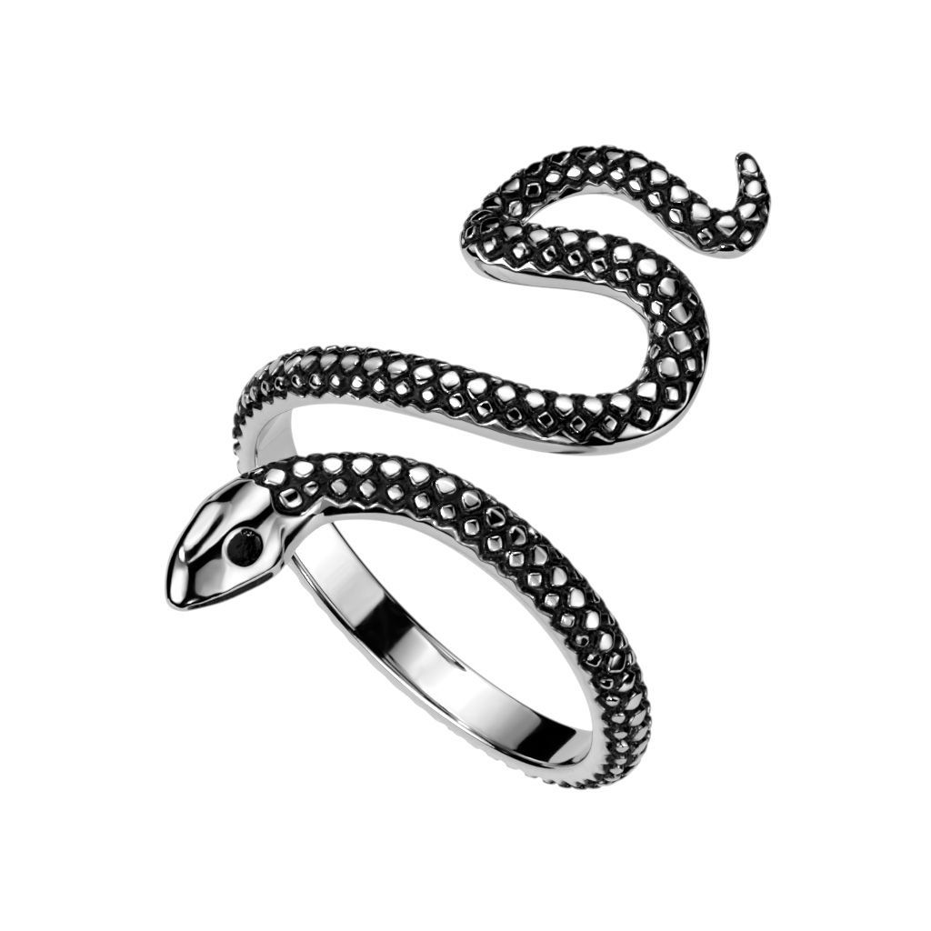 Schlange, Schlangen-Ring, Edelstahl Ring aus 316L Chirurgenstahl in verschiedenen Größen, Anti-Allergisch, Nicht färbend