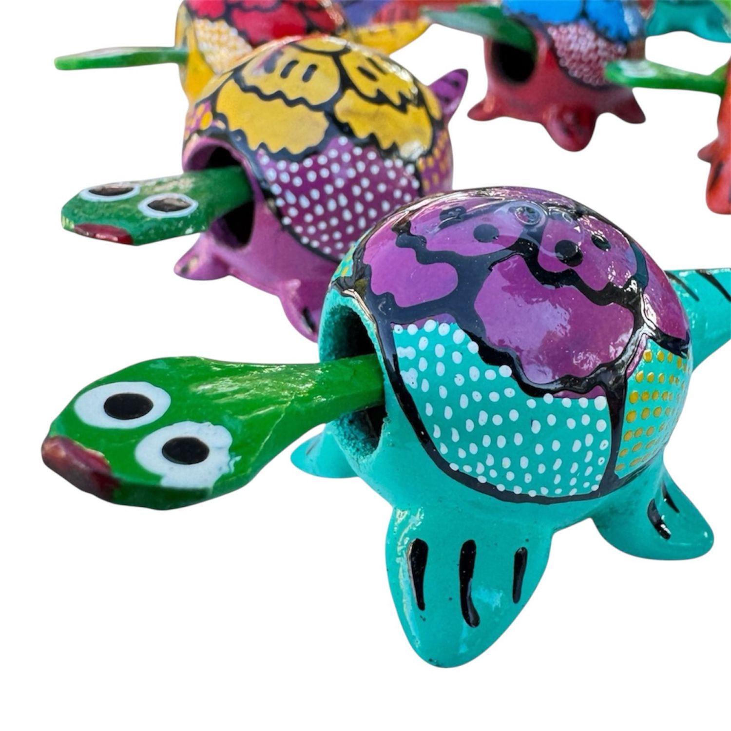 Schildkröte