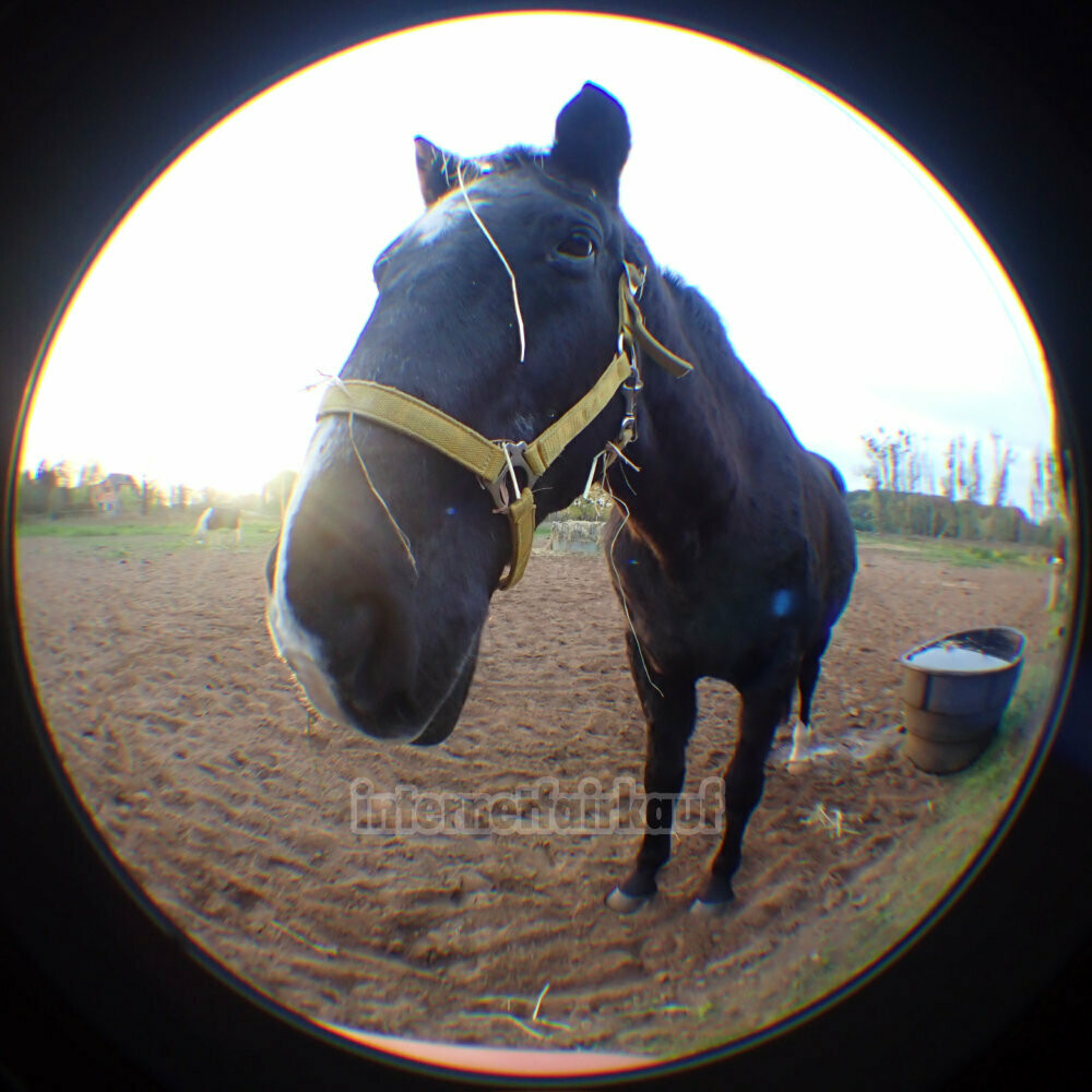 0.25x Fisheye Vorsatz passend für Canon Legria HF R87 HF R86