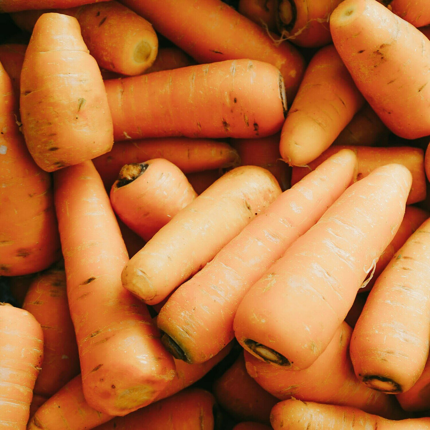 Carrots 500g