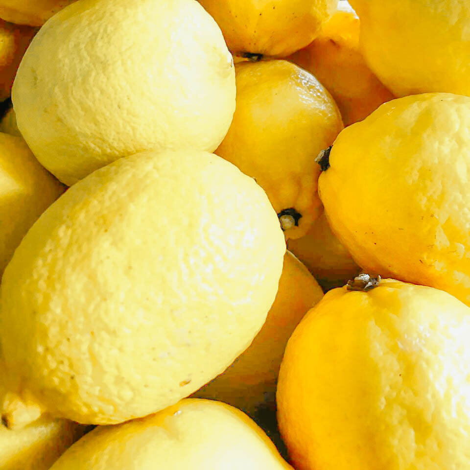 Lemon (Large)
