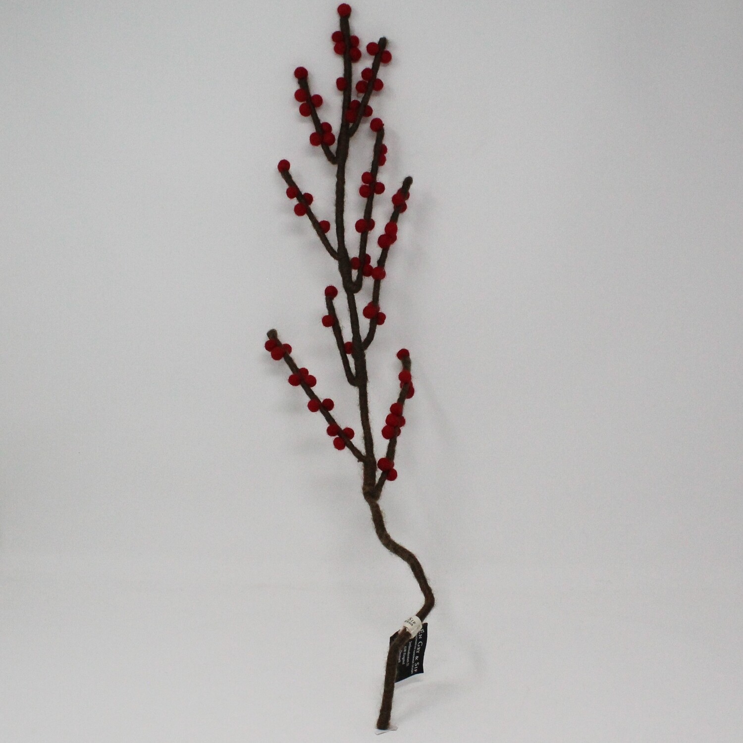 Branch with Red Berries