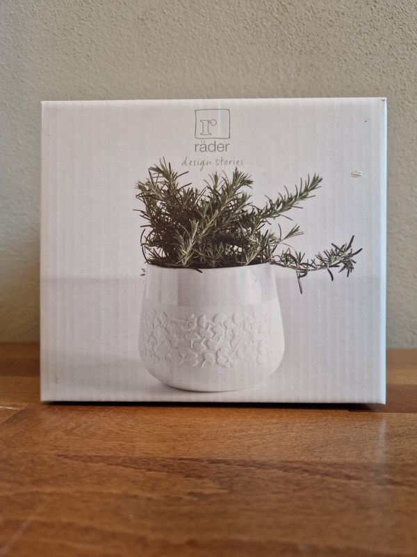 Vaso Poetry Flower Pot Gingko