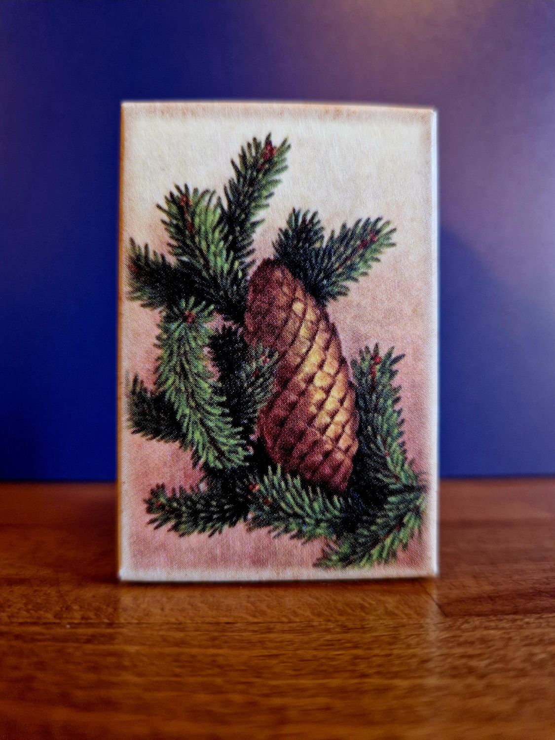 Guest Soap 25 G Sttval646