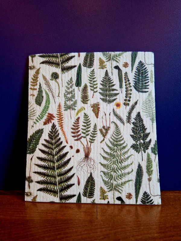 Dish Cloth Fern