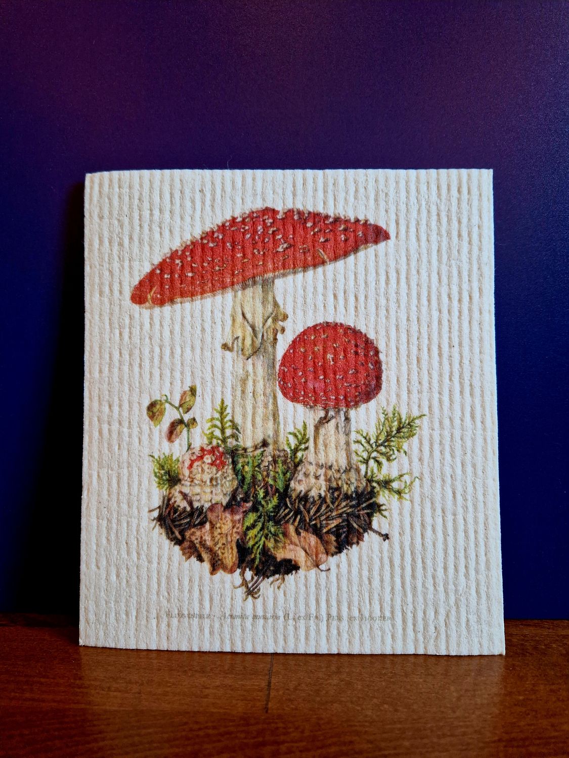 Dish Cloth Mushroom