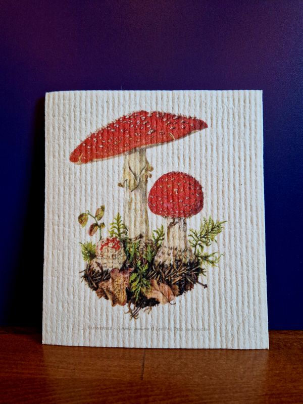 Dish Cloth Mushroom