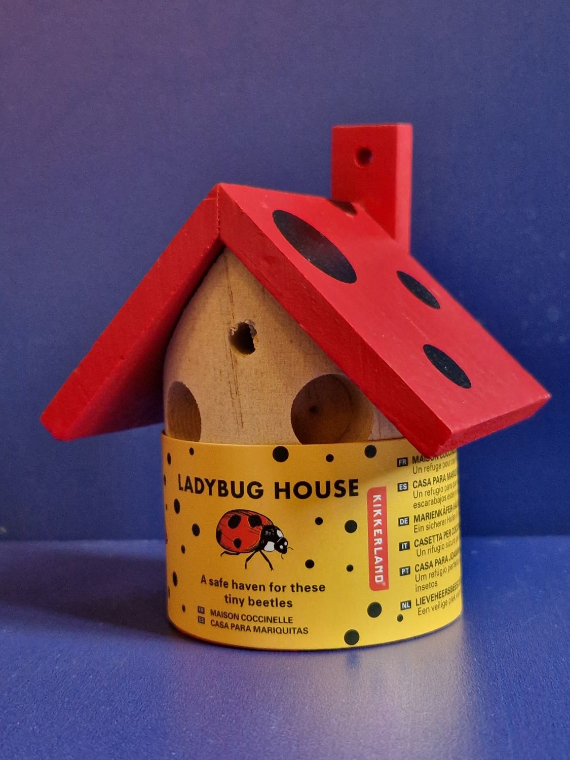 Ladybug House