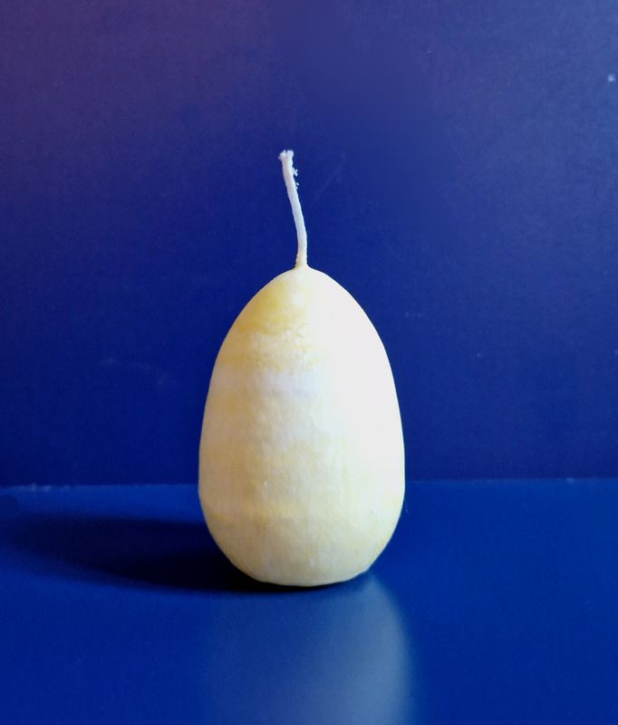 Egg Candle
