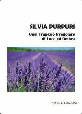 Quel Trapezio Irregolare di Luce e Ombra