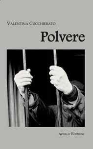 Polvere