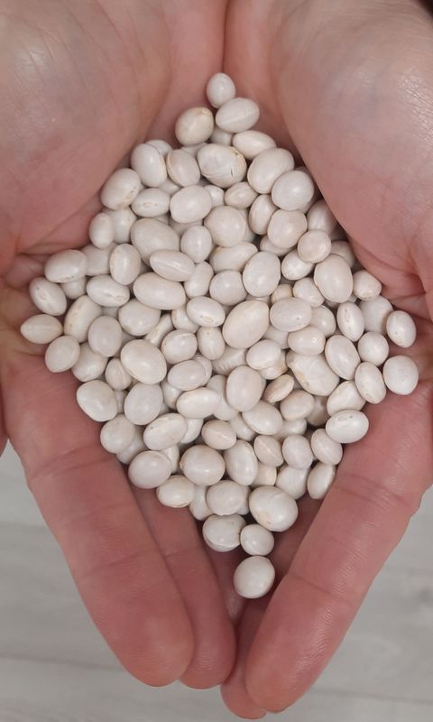 Alubia Redonda Manteca