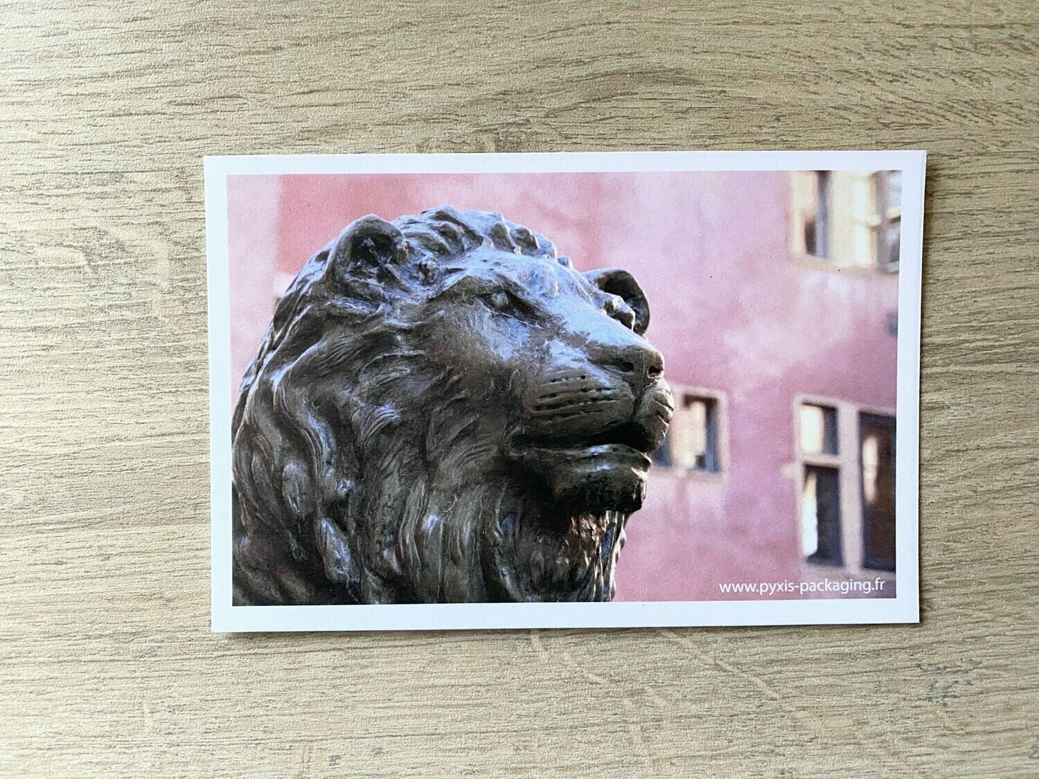 Carte postale "Statue lion de Lyon "