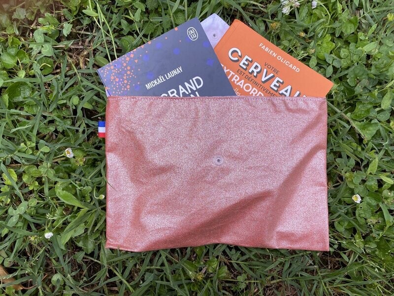 Pochette à livre rose irisée